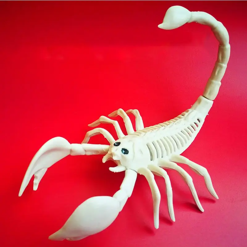 

Halloween Animals Skeleton Model Bone Art Craft Rat Fish Bat Spider Scorpion Bones For Halloween Party Desktop Decoration