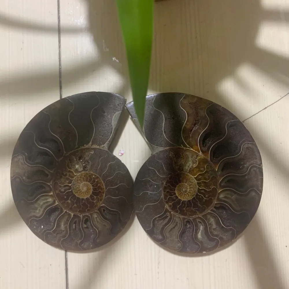 微信图片_20200403234316