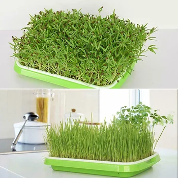 

Plastic Seedling Tray Double-layer Bean Sprouts Grow Tray Hydroponic Flower Basket Home Garden Nursery Pots MU8669