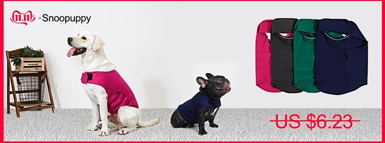 dog jacket