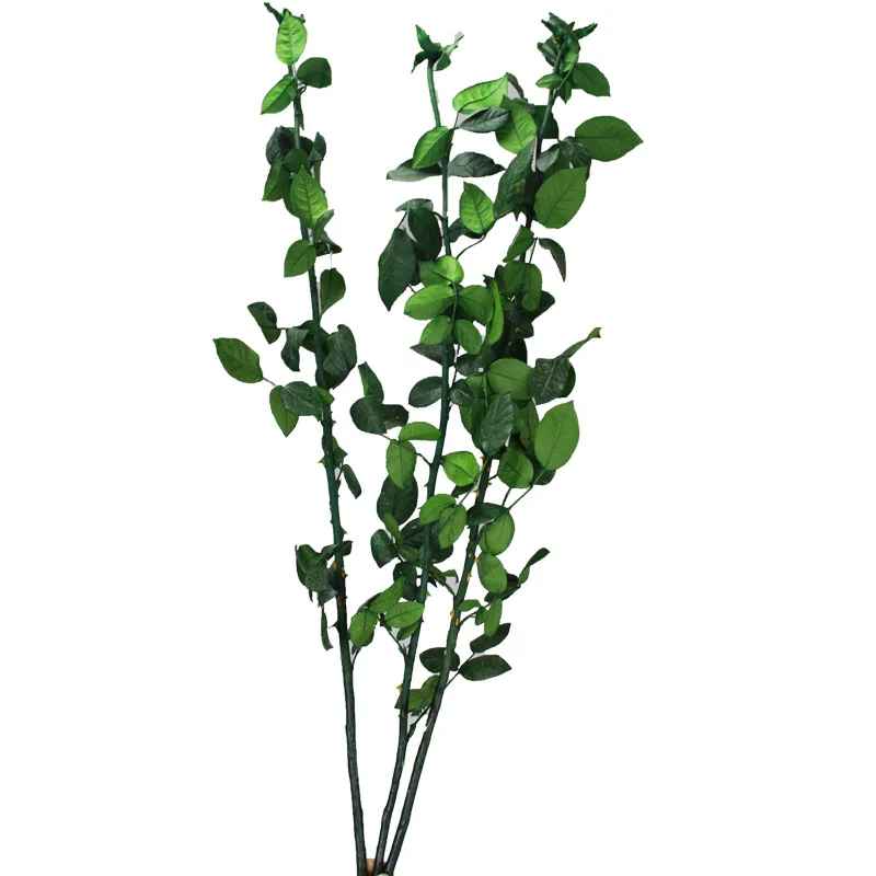 

Preserved Fresh Flower Freshness Rose Branches 70 Cm Single Bottle Bouquet DIY Materials Manufacturers Wholesale High Quality No