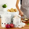 3 Pcs Storage Box Potatoes Onions Garlic Bin Kitchen Food Container White Buckets Breathable Metal Box With 2 Handles ► Photo 2/6