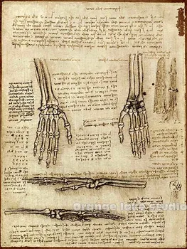 

Da Vinci manuscript Vintage Dissection Painting Pure cotton Canvas Wall Art Picture Home Decoration Living Room Canvas Print A4