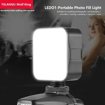 

Mini LED Video Light on-Camera, DSLR Photo Fill Lighting Flash Lamp with 3 Cold Shoe Mount for Microphones/Light Panel