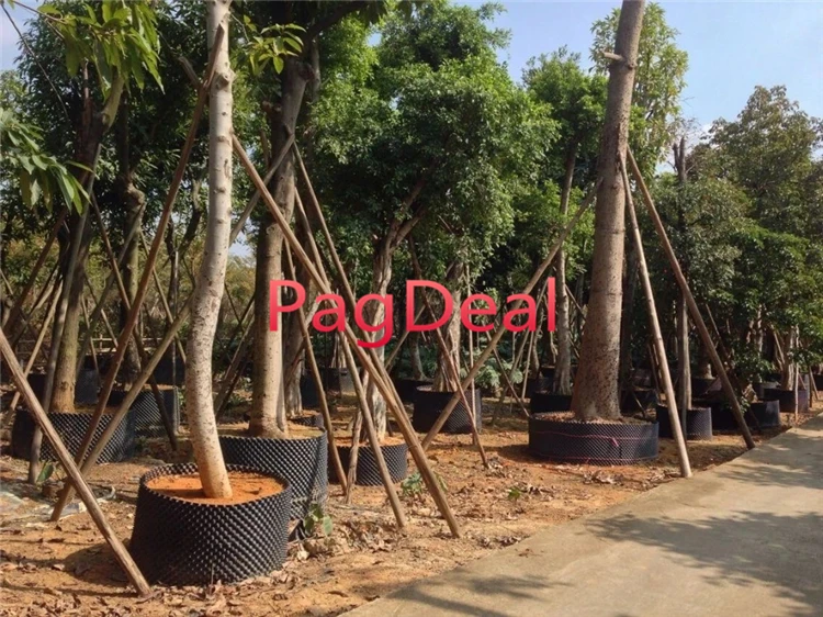 Plant Root Trainer Fast Root Grow Container Air Pot Nersery Pruning Hydroponic Garden Tree Net With Base Free Shipping Plant Root Trainer Fast Root Grow Container Air Pot Nersery Pruning Hydroponic Garden Tree Net With Base Free Shipping