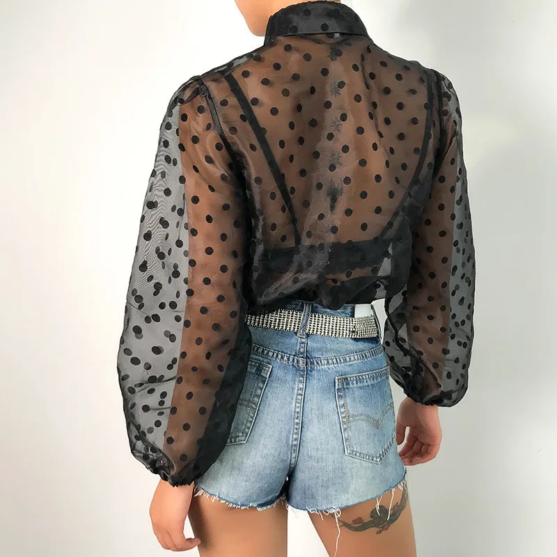 11677209874_1045645777