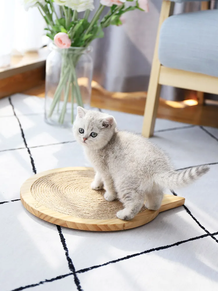 O1CN01HbCFjp239bKnArV0I_!!2608007213