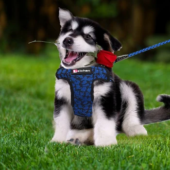 

Dog Harness Breathable Mesh Vest Adjustable Dog Harness and Leash Set for Small Dogs Reflective Pet Collar Dog Accessorie