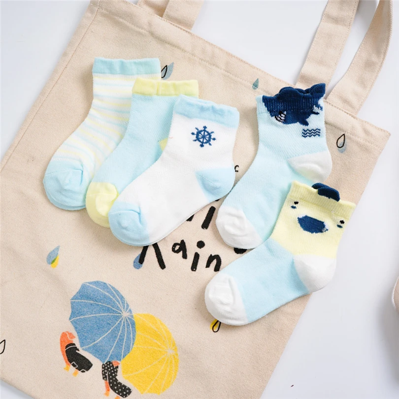 9 - ZBY90227548_2019022709042800020