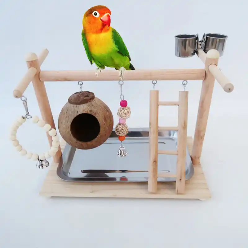 jouet pour inseparable