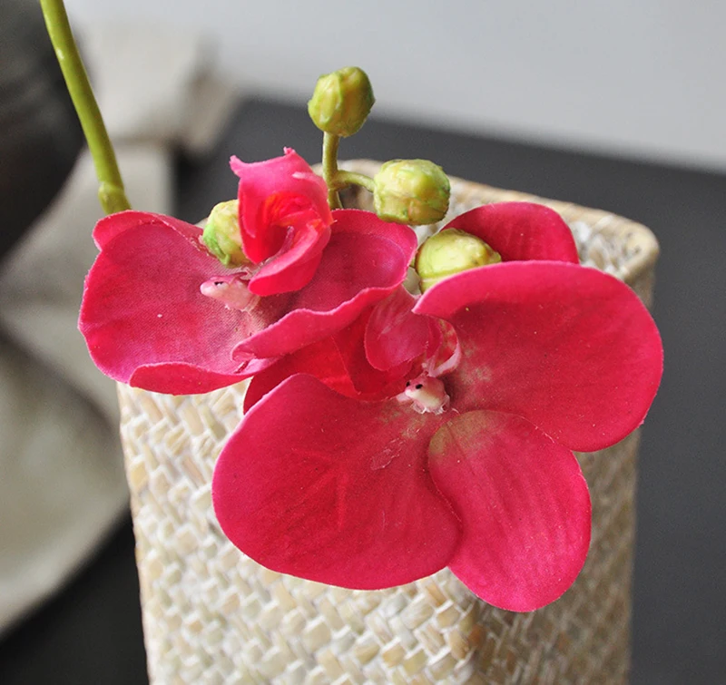 Искусственные 2 головы фаленопсис Моль Орхидея мини шелковые цветы для дома стол свадебный стол декоративный цветок