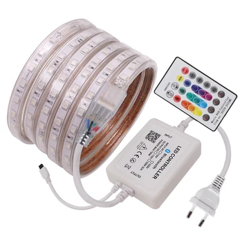 

Music LED Light Strip 110V 220V 60LED 5050 SMD RGB Flexible Strips LED Lamp with 24 Key Remote Controller Outdoor & Indoor Decor