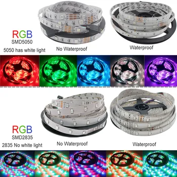 

RGB LED Strip Light 5050 2835 DC12V Neon Ribbon Waterproof Flexible LED Diode Tape 60LEDs/m 5M 12V LED Strip for Home Decoration
