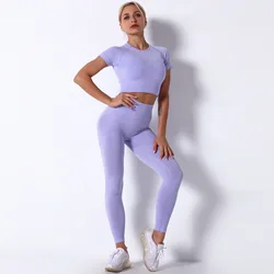 Seamless Yoga Set Women Short Sleeve Crop Top T-Shirt and Push Up Leggings Training Workout Active Gym Set Sports Outfit