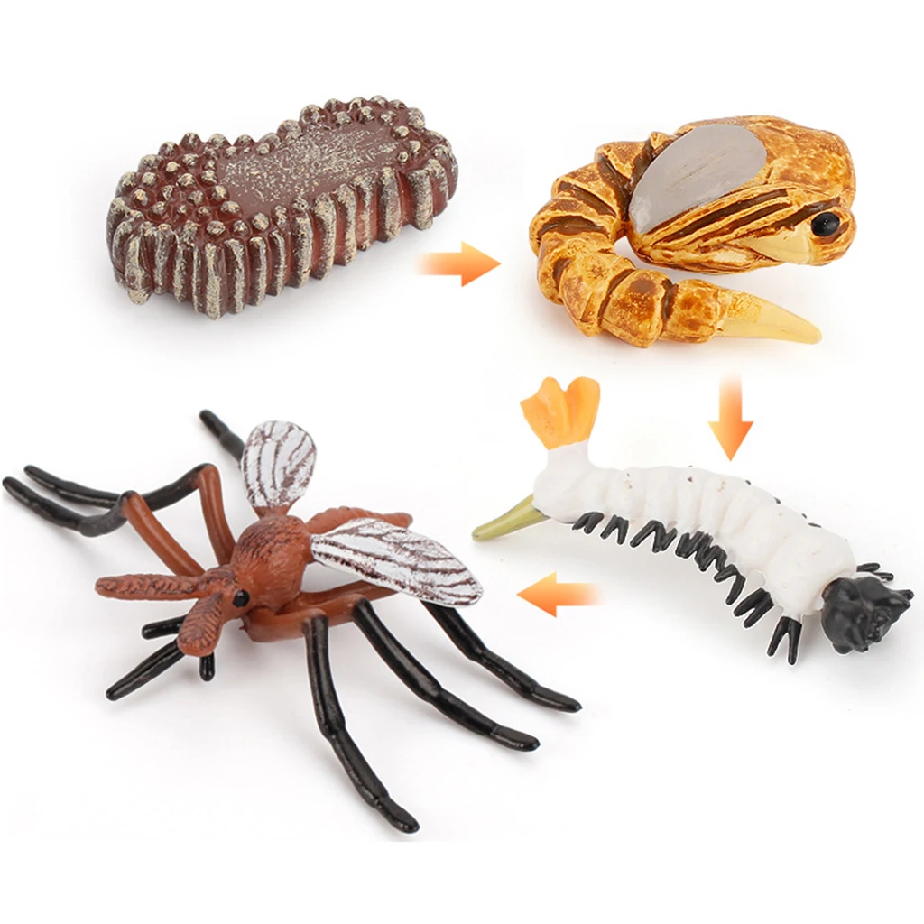 Early Kids Toddlers Simulation Animals Growth Cycle Toy Pretend Play Animal Growth Cycle Teaching Aids Early Educational Toy