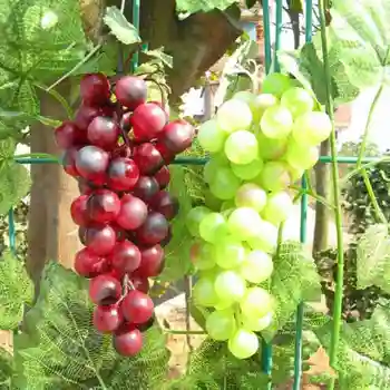 

36PCS/Set Artificial Grapes Realistic Fake Fruit Model Pub Party Fruit Shop Kitchen Cabinet Ornament Photography Props