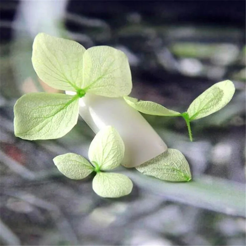 Модные смешанные сушеные цветы 3D дизайн ногтей стеклянная бутылка DIY Украшение