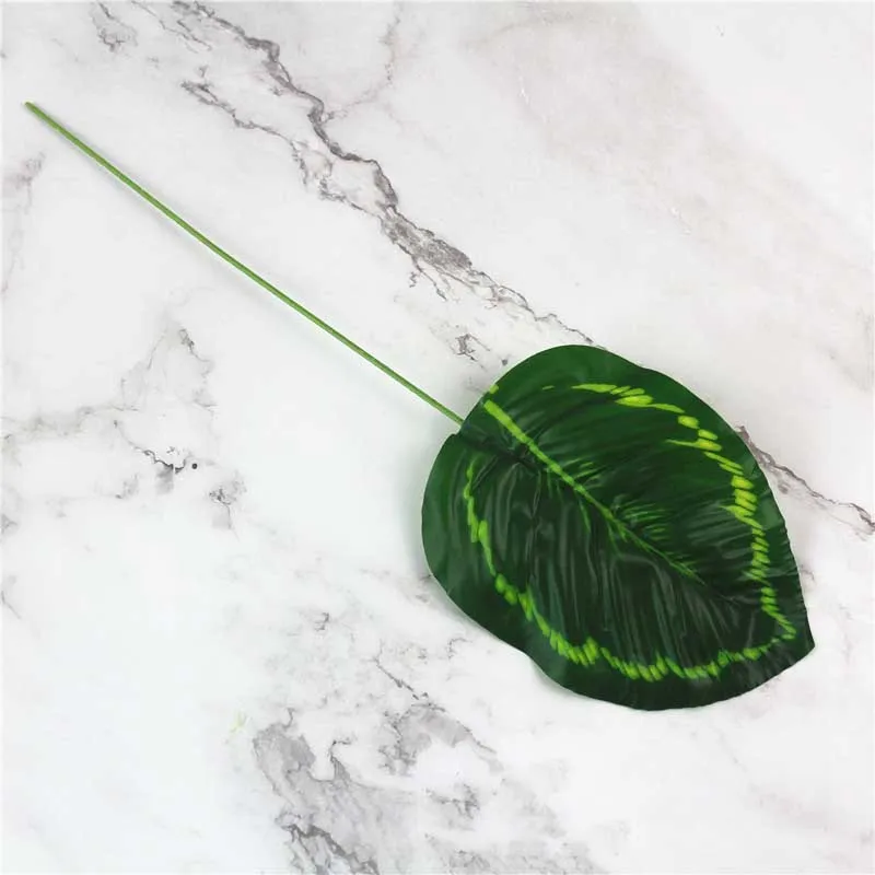 9531156356_2032011975