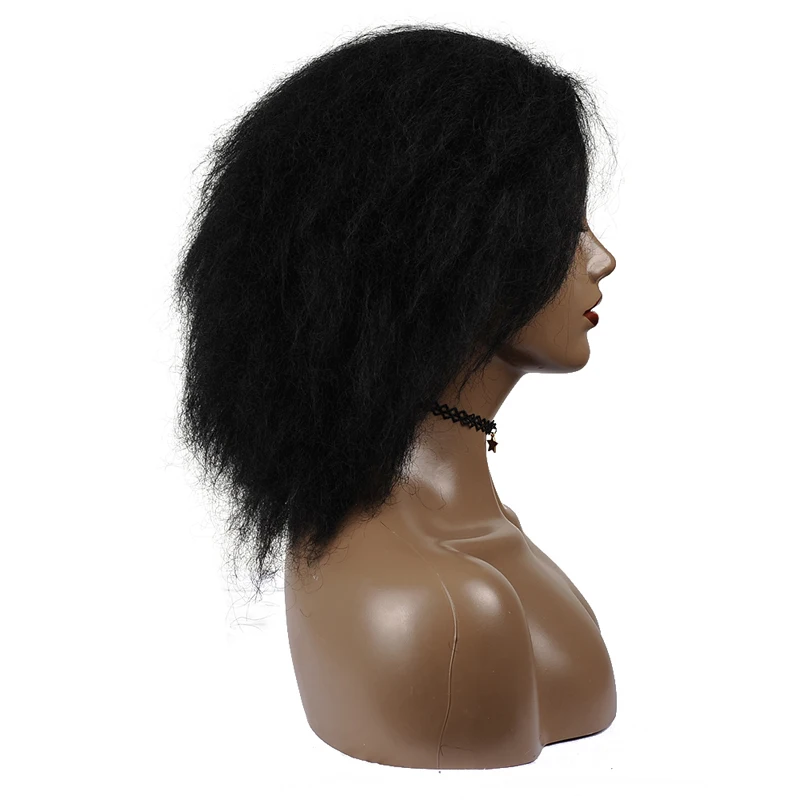 kinky straight wig in synthetic afro wig natural balck Short Kinky Curly Fluffy Wig for balck women African American MSGLAMOR