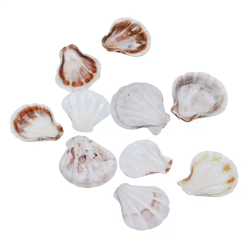 Download Decoracoes do tanque de peixes de praia Free HD Decoracoes Do Tanque De Peixes De Praia