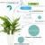 HHCC Flower Monitor Flora Garden Care Plant Grass Soil Water Fertility Smart Tester Sensor Flower Gardening Detector For XiaoMi