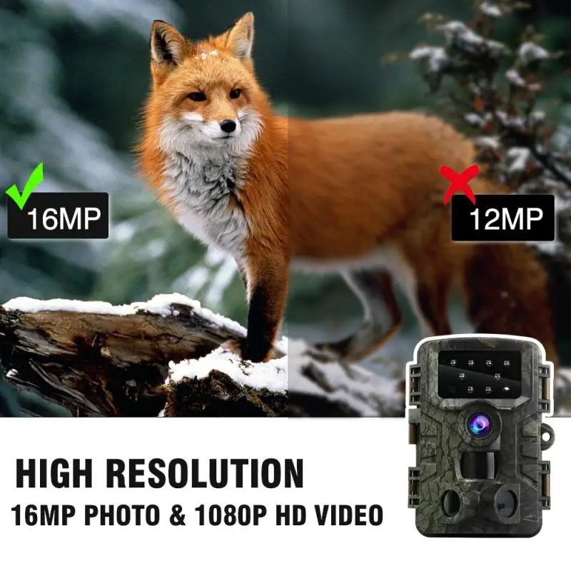 wildlife capture camera