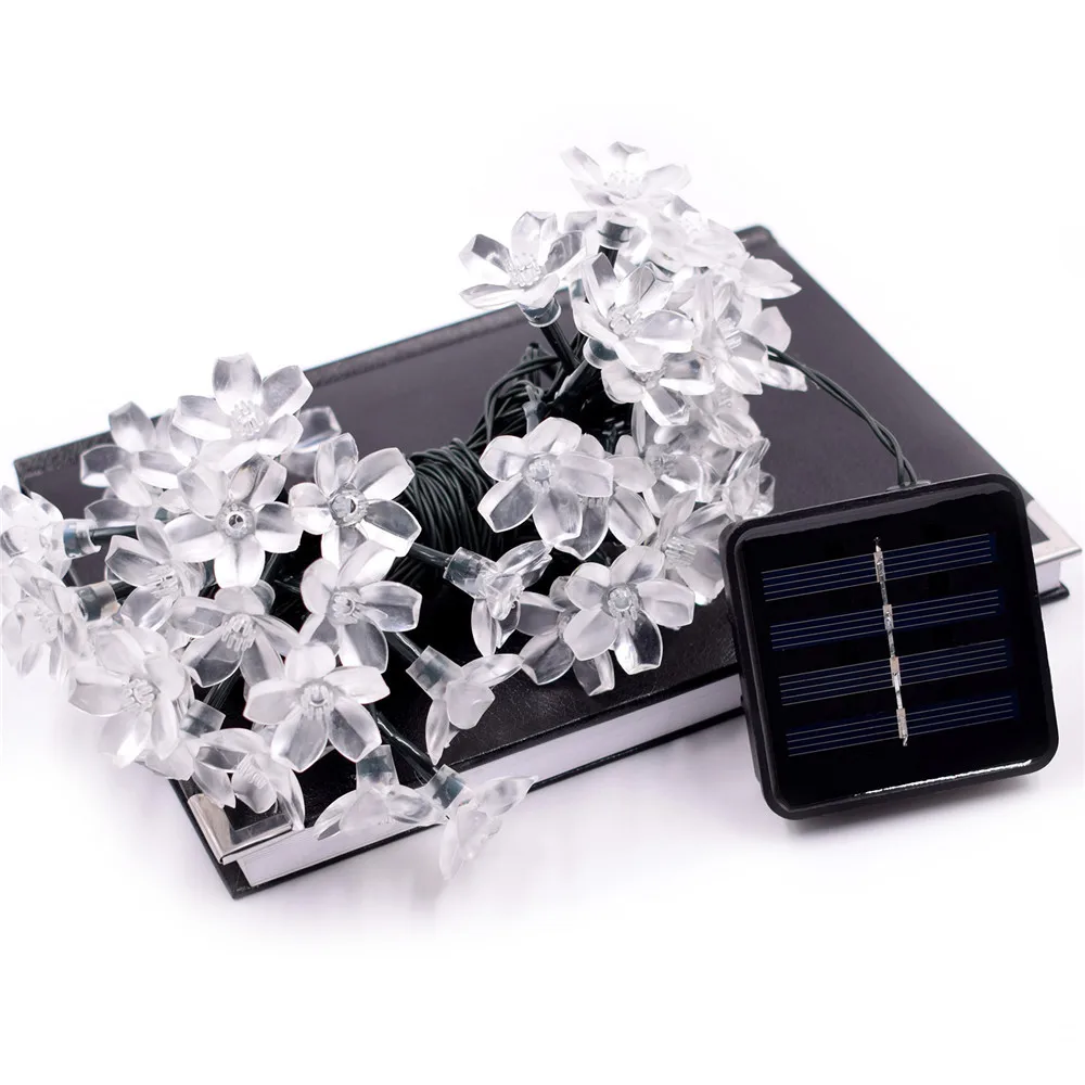 9248644837_157792690