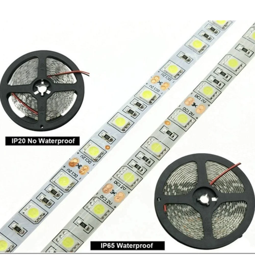 LED Strip 5050 DC 12V 24V RGB Warm White 5 Meter Waterproof Flexible Light Stripe 60LED/MLed Tape Luces Lamp Ribbon Tv Backlight