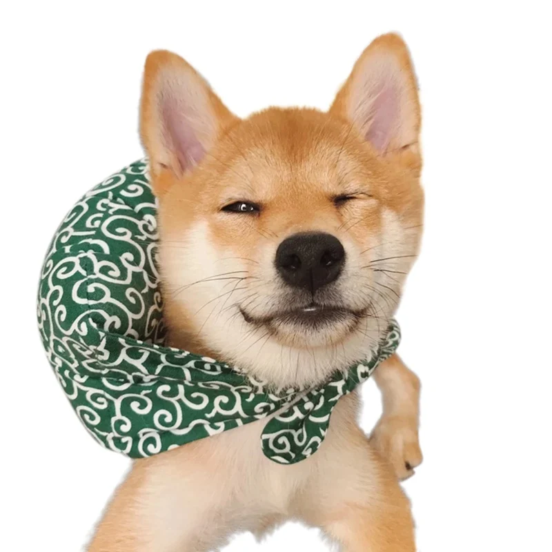 

Pet Funny Collar Pet Wants To Run Away Cat Garfield Cute Cotton Scarf, Burden Adorable Pillow Scarf Small Bundle Bag