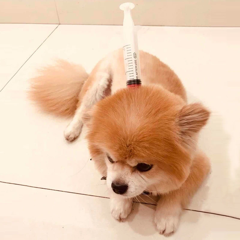 9325519141_403883603