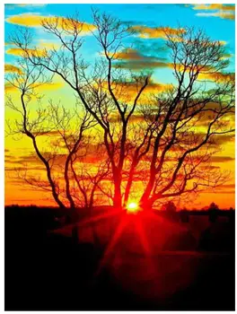 

full drills diamond embroidery sunset trees diamand painting full square diamond dotz rhinestones crafts diamand mosaic picture