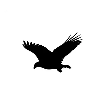 

Cartoon Car Stickers Fun Eagle Bird Vinyl Accessories Waterproof Bumper Boot Motorcycle Decals PVC 17cm X 11cm