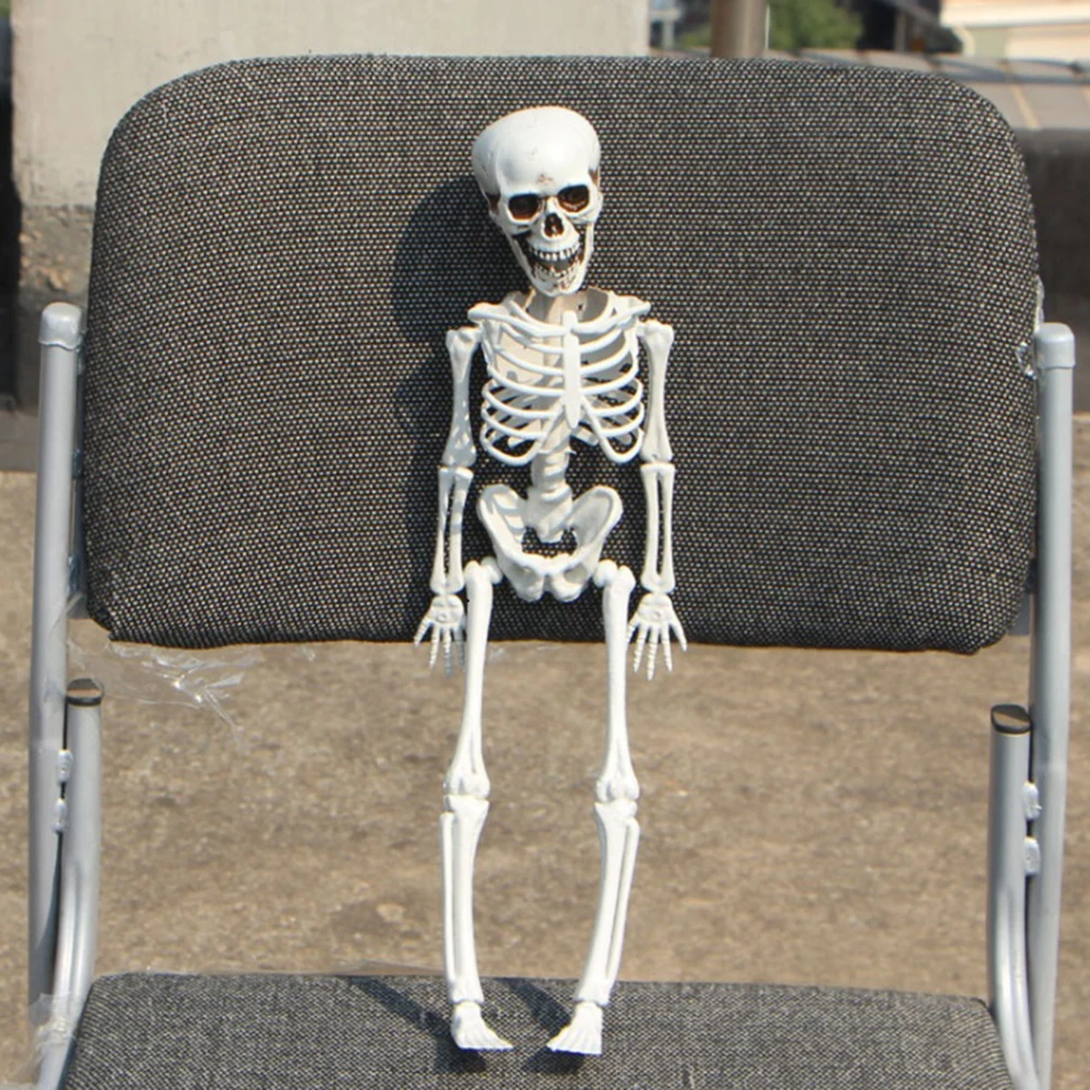 

Halloween Prop Human Skeleton Full Size Skull Hand Life Body Anatomy Model Decor 3 Pcs Halloween Decoration 40cm