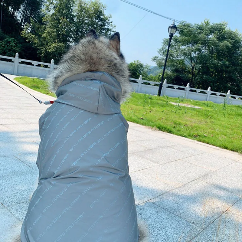 Зимняя одежда для собак, светоотражающая куртка для больших собак, ветрозащитная одежда для домашних собак, костюм для больших собак, золотистый Мопс для лабрадора