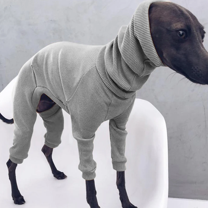 Tanio Nici na szyję czteronogi pies ubrać Greyhound Whippet kurtka sklep
