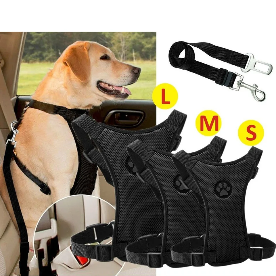 dog car harness