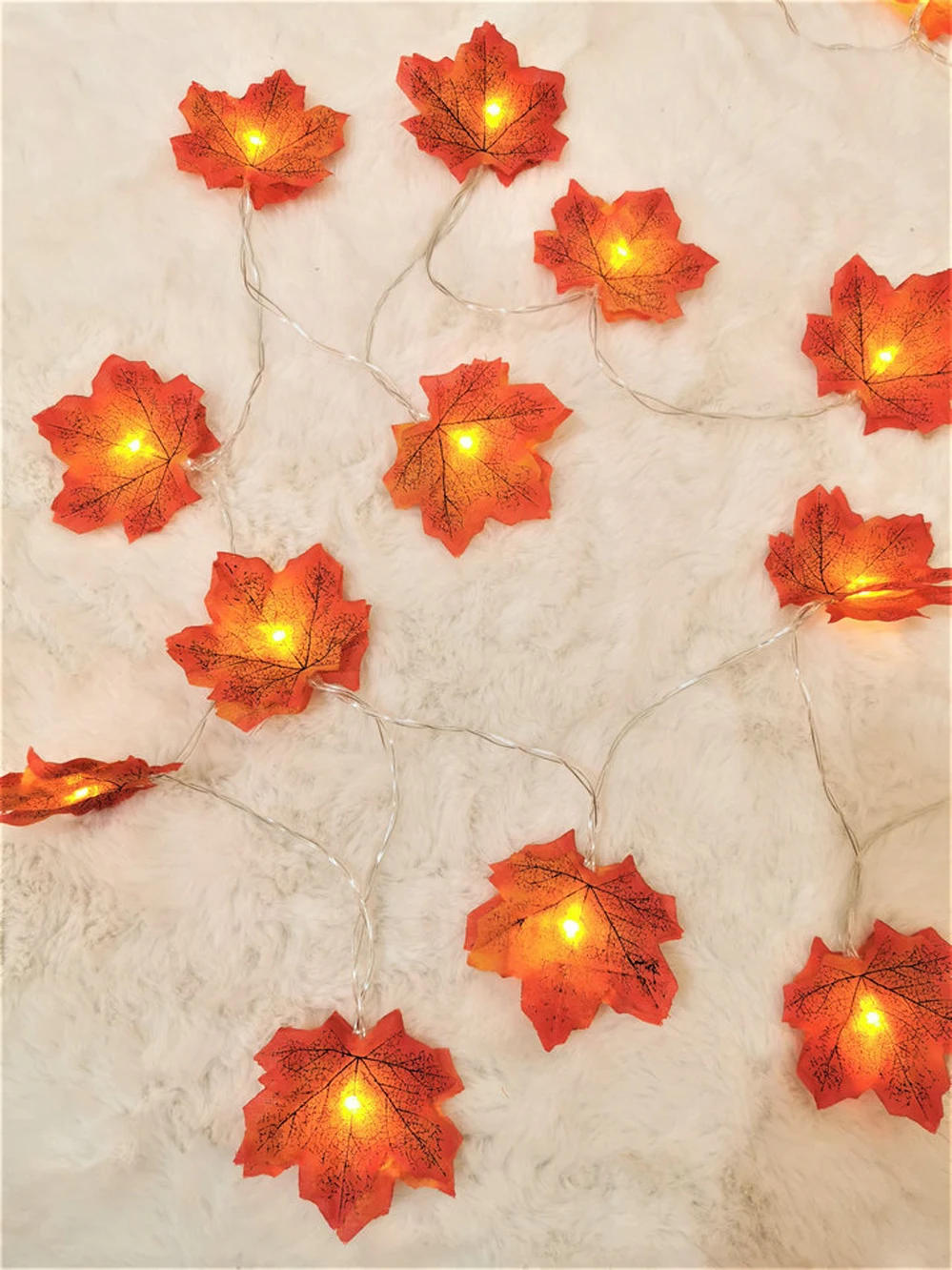 11646073616_1099349780