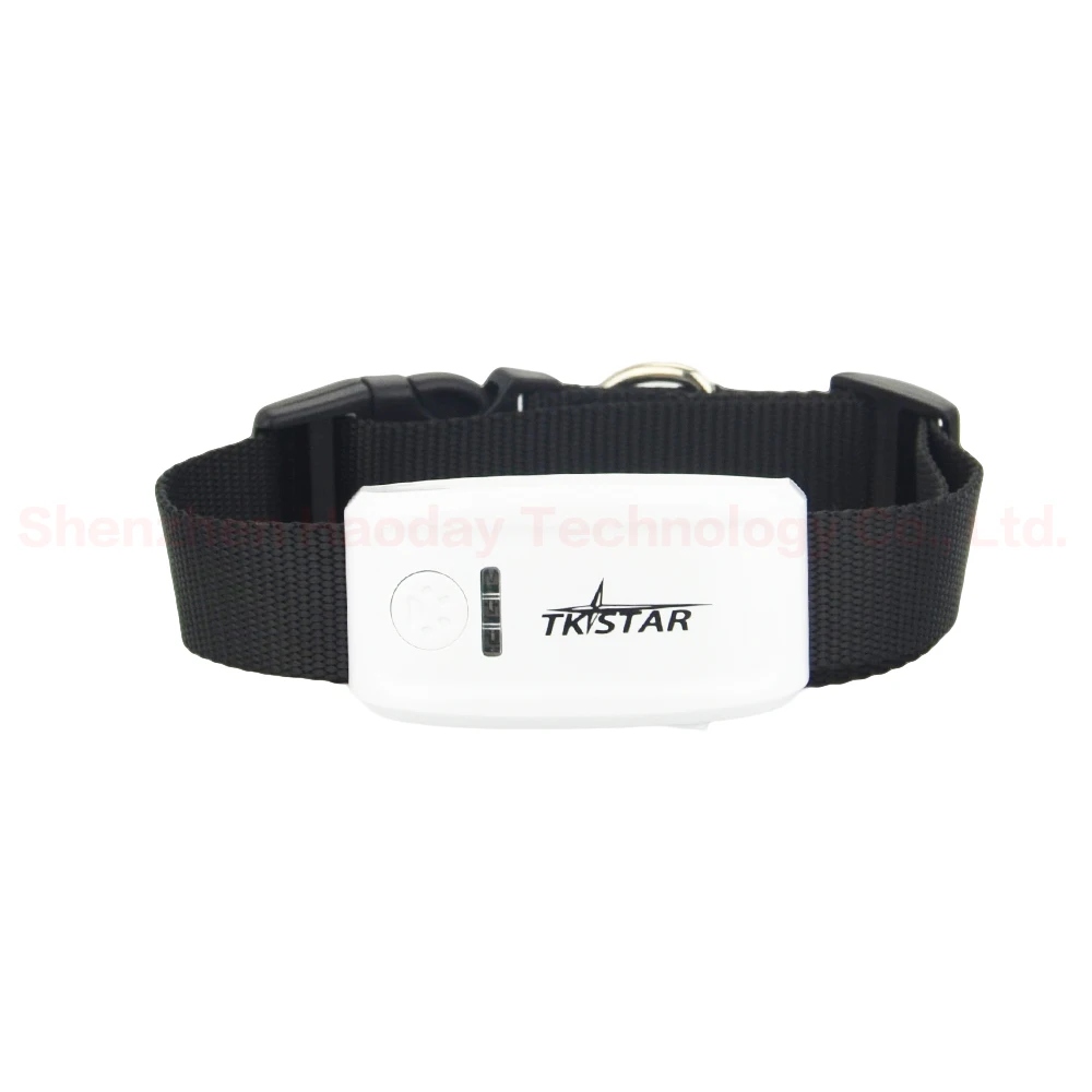 Mini Pet Tracker With Collar GSM/GPRS Positioning Real Time gps tracker Dog Pet TK909 Lifefree tracking web/app