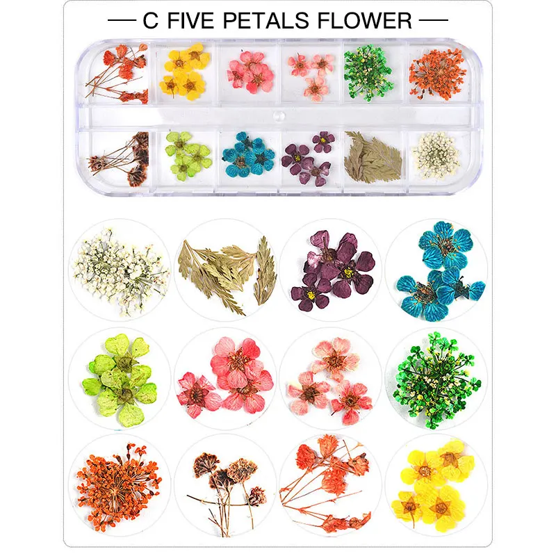 Gypsophila 12 цветов, высушенный цветок для ногтей, декоративная коробка, натуральный цветочный лист, наклейки, 3D дизайн ногтей, аксессуары для маникюра, художественные наклейки - Цвет: Gypsophila