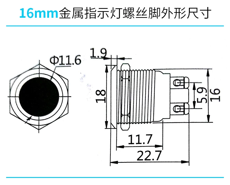 High Quality Renovação da Casa