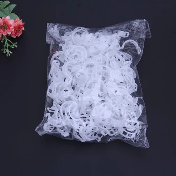 

Newest 50/100pcs Reusable Plastic Plant Support Clips Clamps for Plants Hanging Cirrus Garden Vegetables