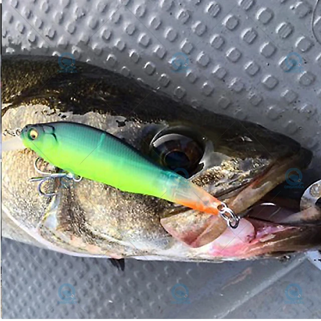 Japan's MEGABASS surface system crawling bait i-WING FRY tractor wave  crawling surface cicada perch road sub-bait - AliExpress