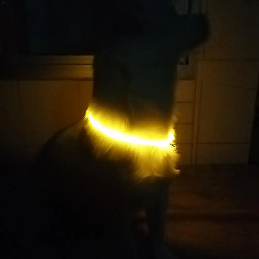 Usb зарядка светодиод для домашних собак ошейник светящийся Регулируемый Pet защитные ошейники водостойкий мигающий свет ошейник для шеи