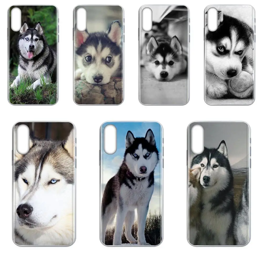 Модный чехол для сотового телефона из ТПУ Wacky Husky Apple iPhone 4 4S 5 5C 5S SE SE2 6 6S 7 8 11 Plus Pro X XS