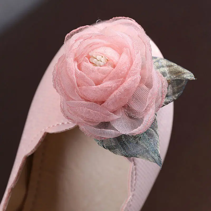 SZ2553 (2)