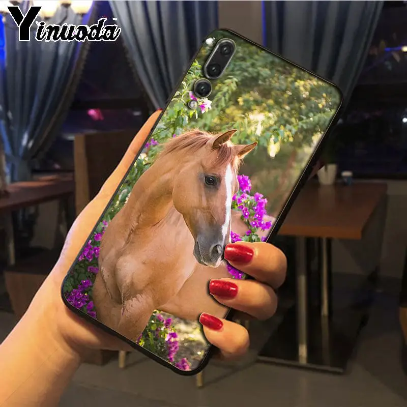 Hot running Horses animal