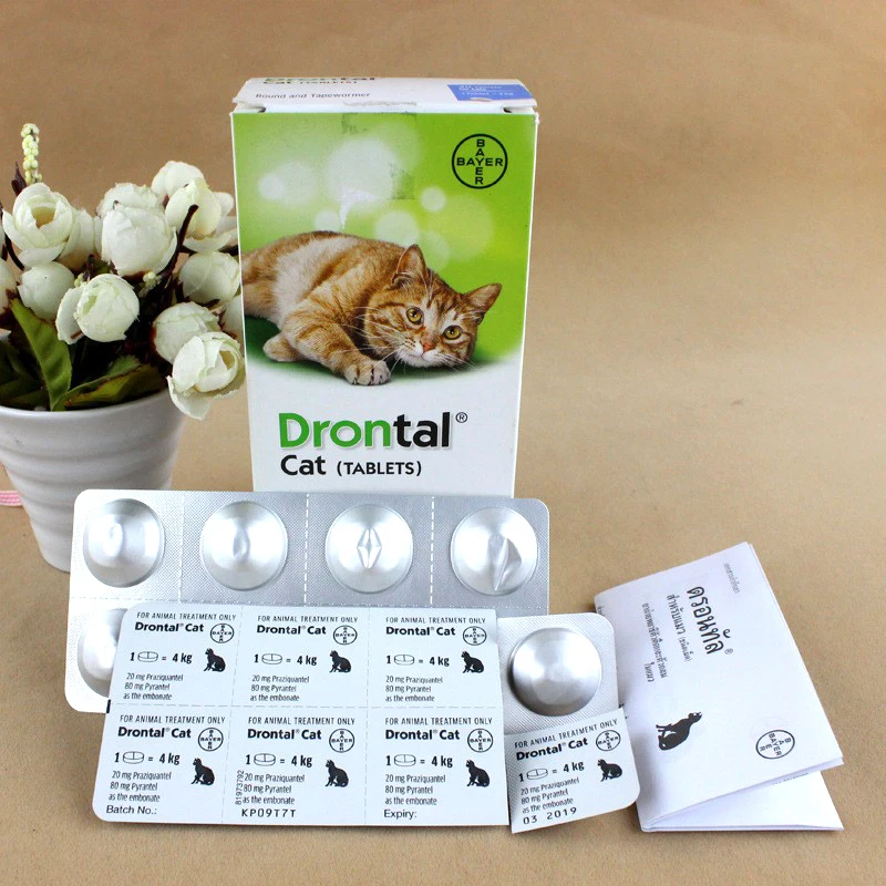 Bayer Drontal Plus для кошек 24 таблетки/40 таблетки greatane|Принадлежности кормления и