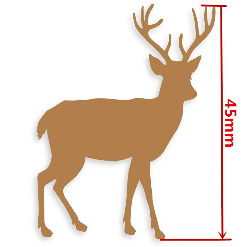 643987_1000_1_800_副本