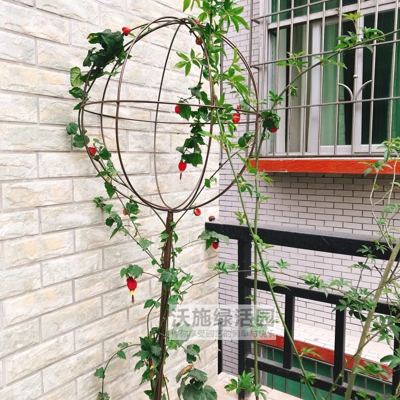 

Climb Arbor Iron Art Spherical Flower Rack The Flowers Chinese Rose Windmill Jasmine Clematis Lotus Bracket Blue Snowflake