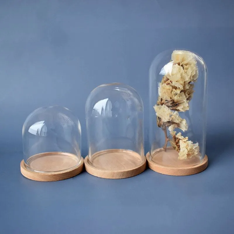10pcs 유리 병 테라리움 항아리 대나무 기본 돔 먼지 커버 DIY 견본 즙이 많은 식물 마이크로 풍경 꽃병 디스플레이